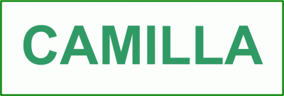 Cartel 90 140 X 300 Camilla