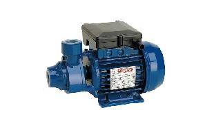 Bomba Periferica 0,8 Hp/220 V Caudal 3000 L/H 50 Mts
