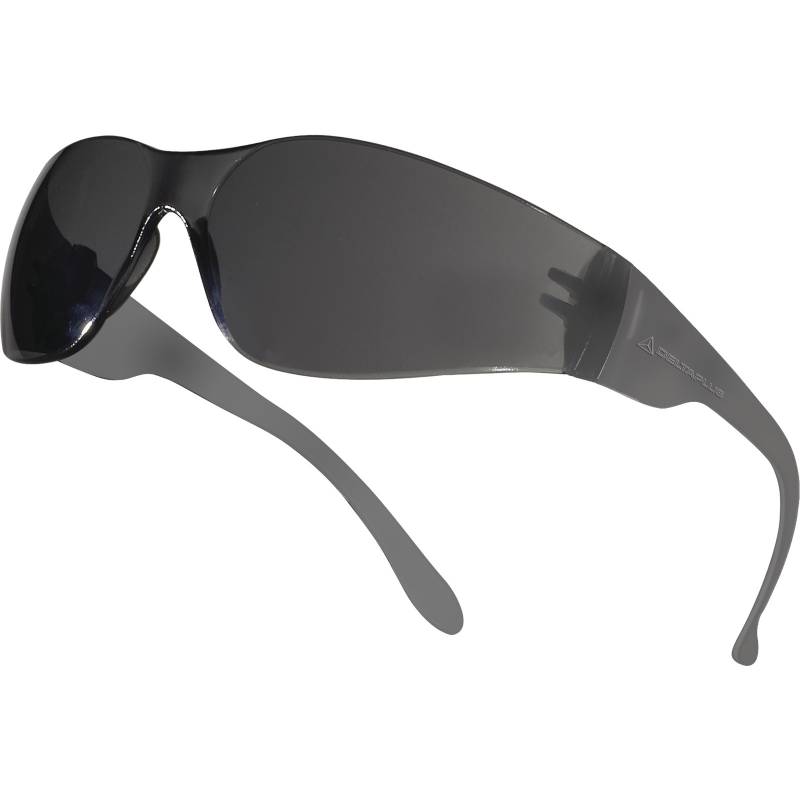 Anteojo Deltaplus Brava2 Smoke Hc