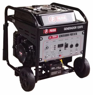 Generador Fema Inverter 12Gfd- Monof. - 18Hp- 8Kw